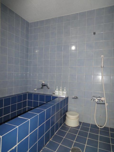 טוקיו Soho Asakusa Hotel חדר תמונה